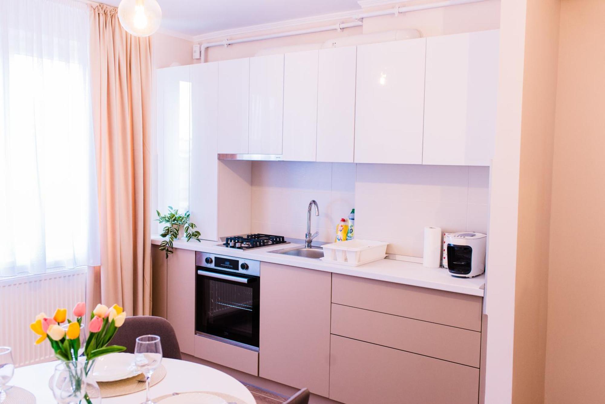Central White Apartment Satu Mare Exterior foto