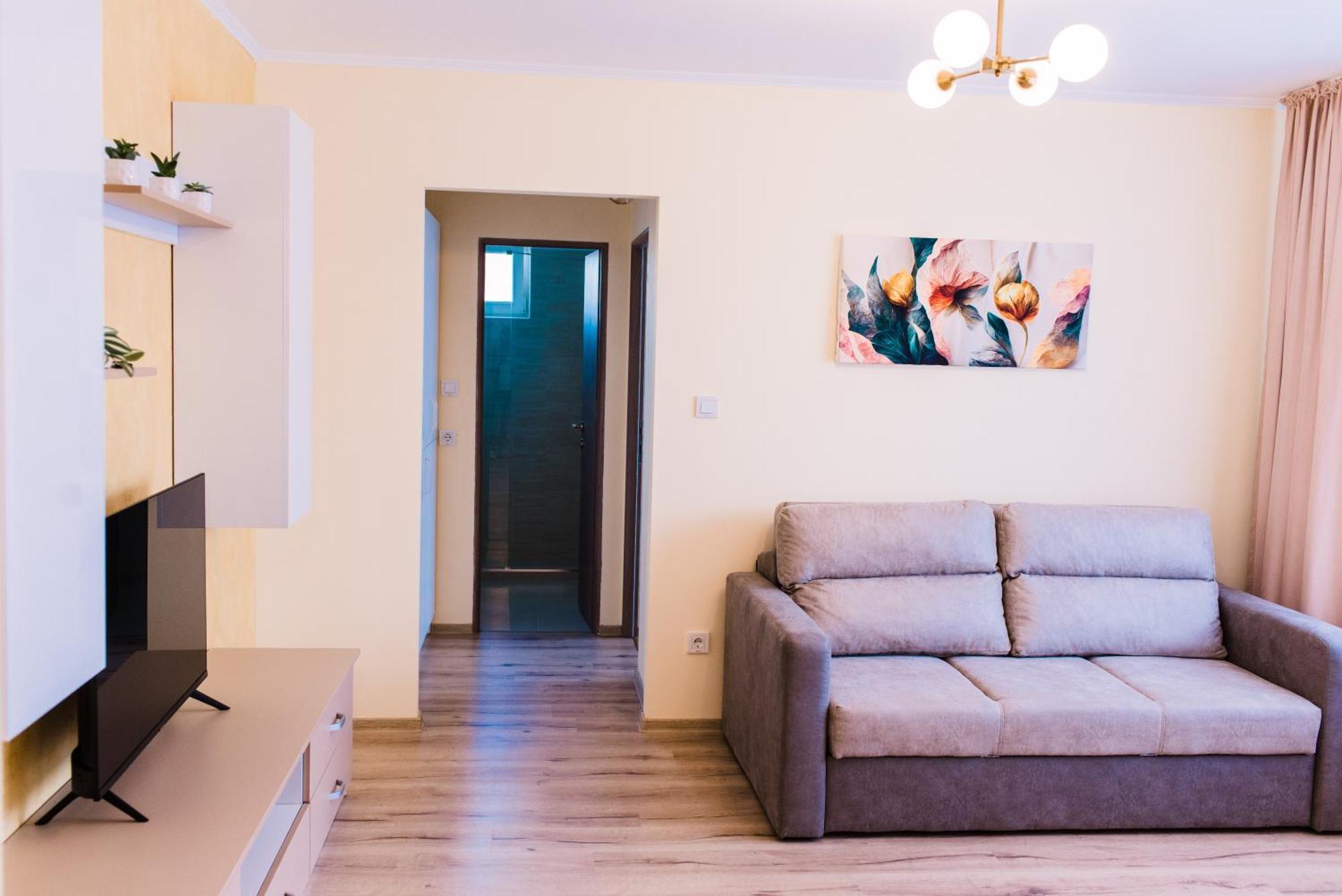 Central White Apartment Satu Mare Exterior foto