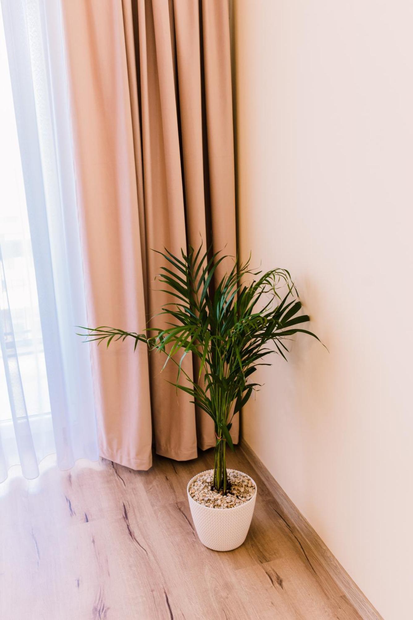 Central White Apartment Satu Mare Exterior foto